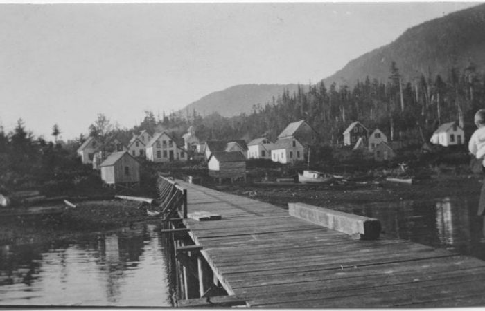 View of dock leading to a village with houses in the foreground. There are trees in the background and mountains in the backdrop beyond the trees.