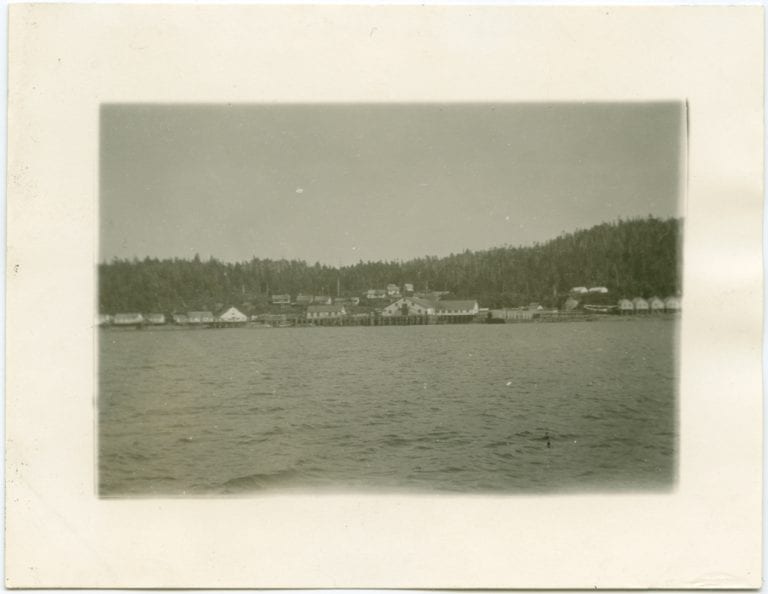 View of a village in the distance with water in the forefront and trees in the background.