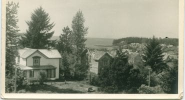 Houses surrounded by trees with water in the background